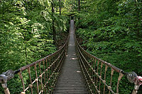 Bernhard Saalfeld - DSC00432 -1.jpg